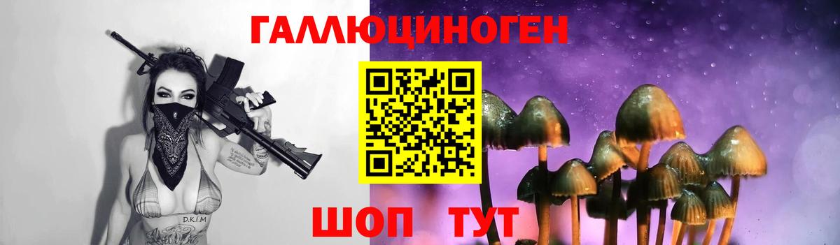 Нефтекумск  Псилоцибиновые грибы GOLDEN TEACHER  Вход с VPN 